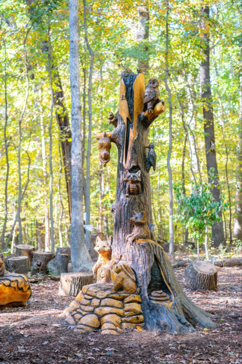 Hidden Oaks Nature Center