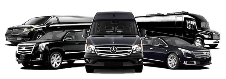 large+fleet